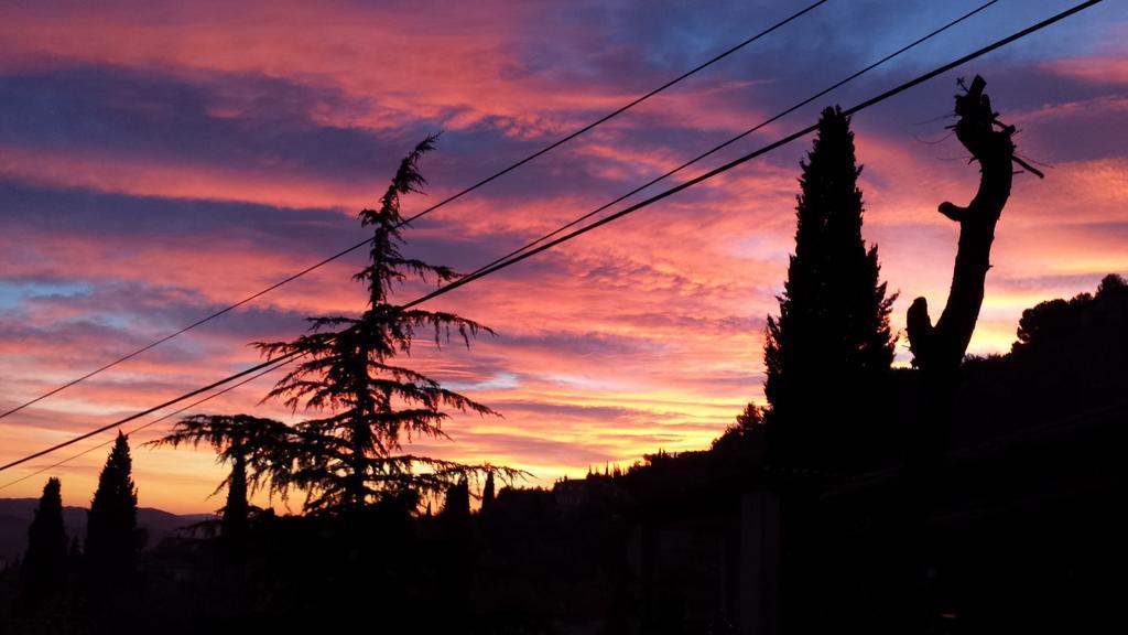 La Bergerie St Antoine Bed and Breakfast Spéracèdes Εξωτερικό φωτογραφία